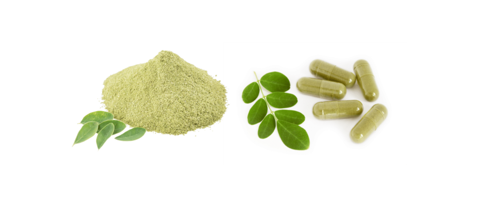 Moringa Magic Benefits